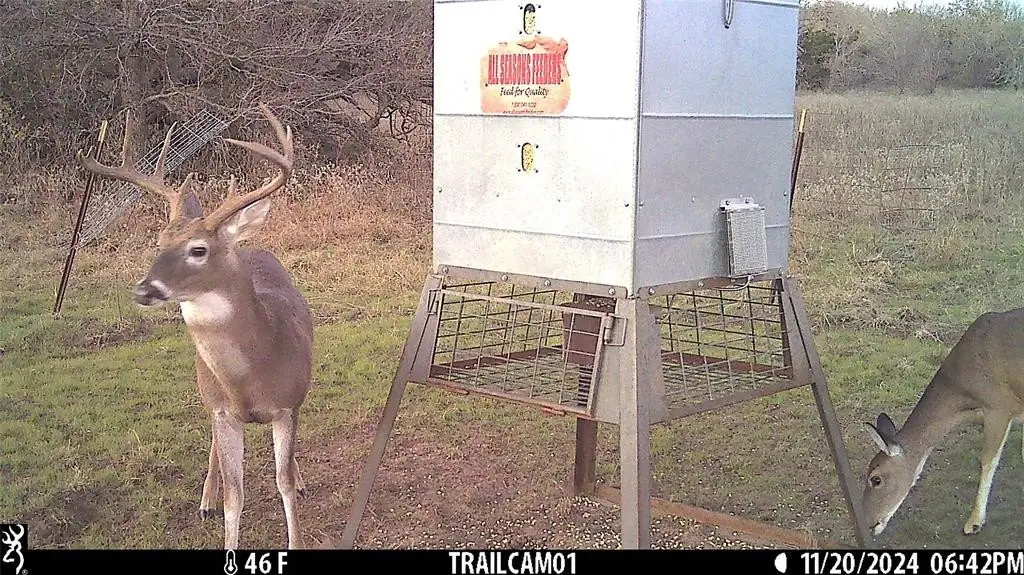 Picture 6