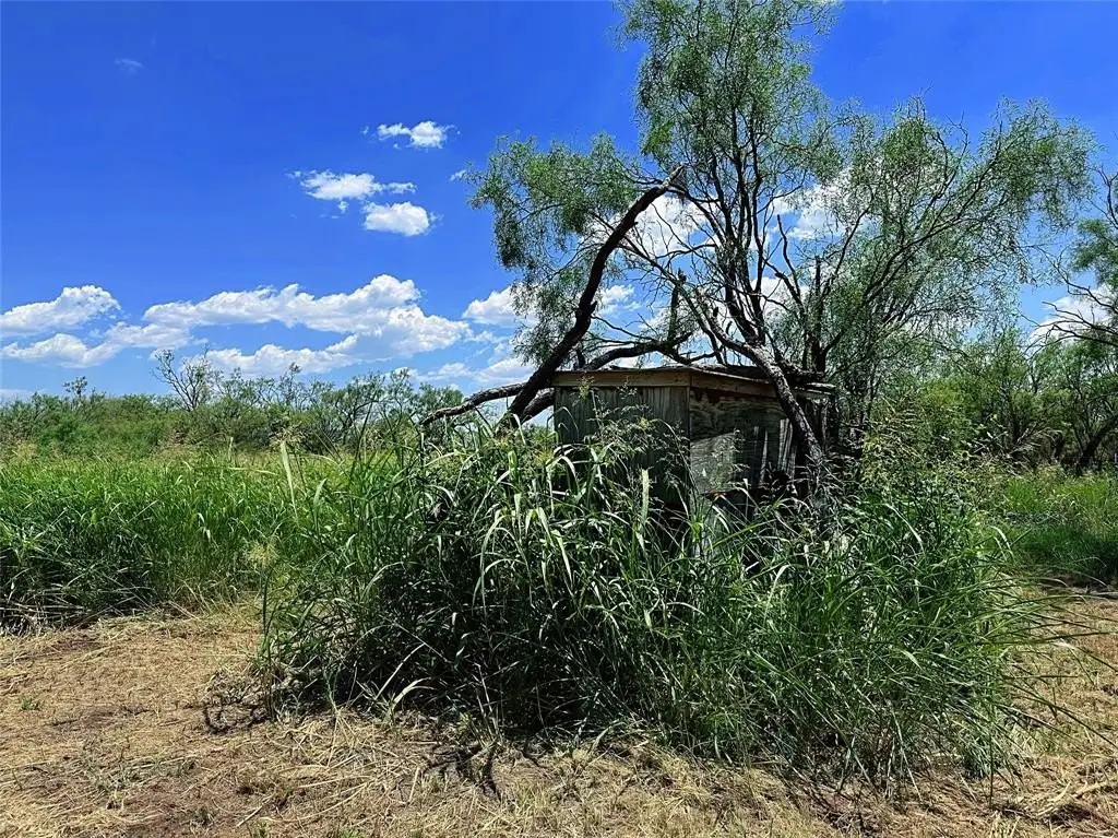 Picture 8