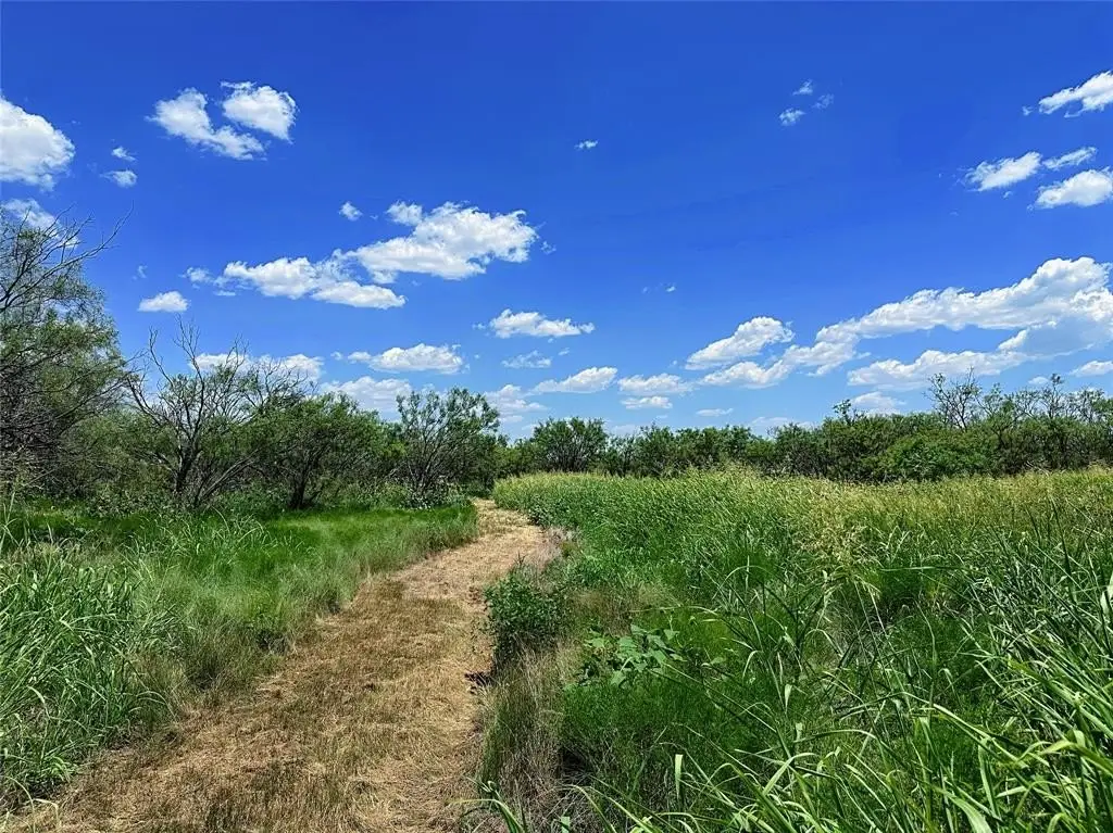 Picture 9