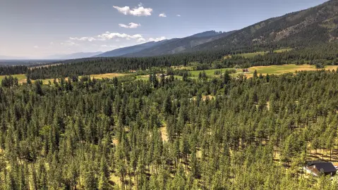 Expansive Land Parcel in Florence, MT