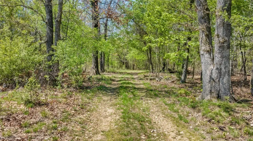 Picture 15