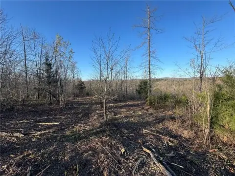 Land Near Jasper, Arkansas