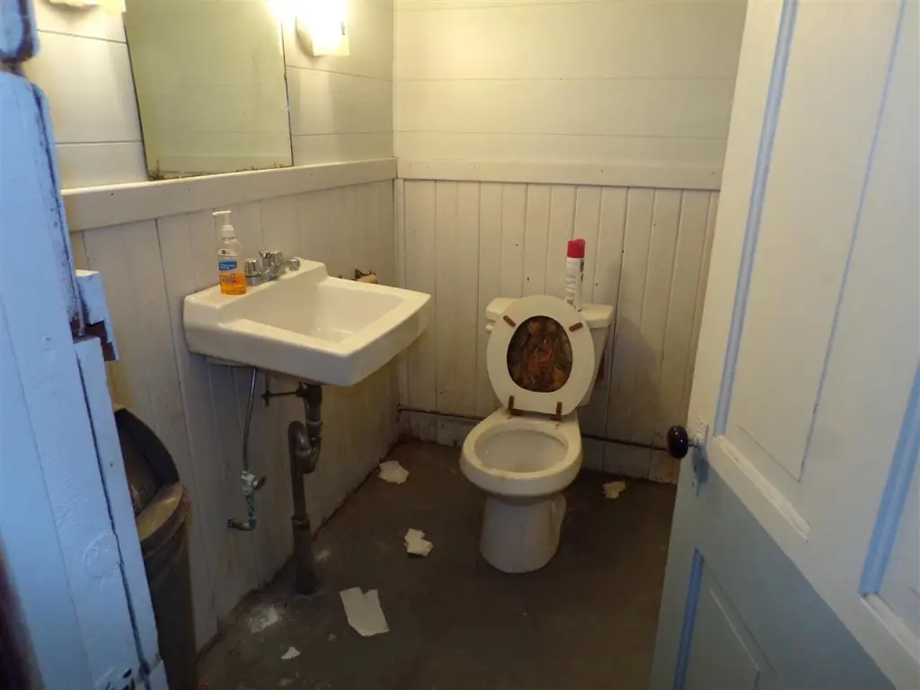Picture 15