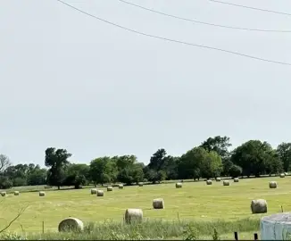 48 Acres of Farmland in Alvord