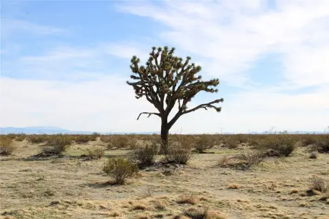 Phelan Residential Land Opportunity