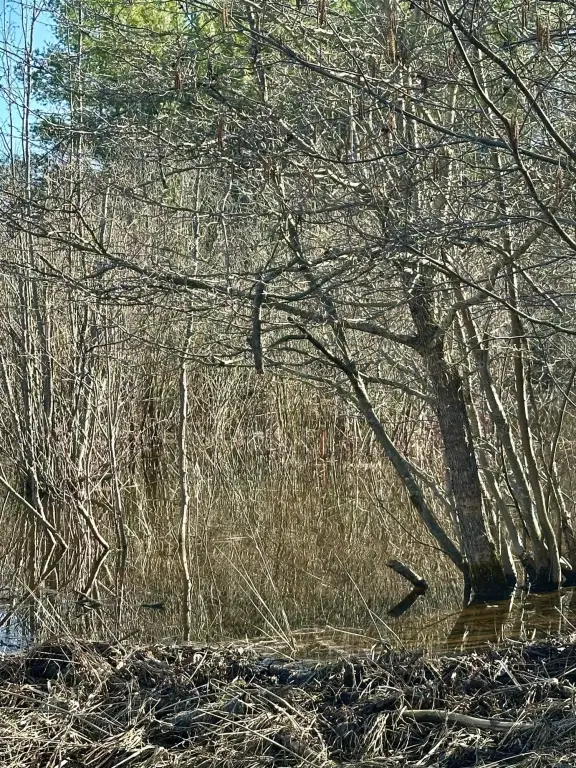 Picture 11