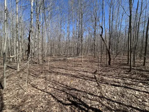 Recreational Land in Lakes Community