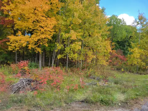 Lawton, MI Residential Land
