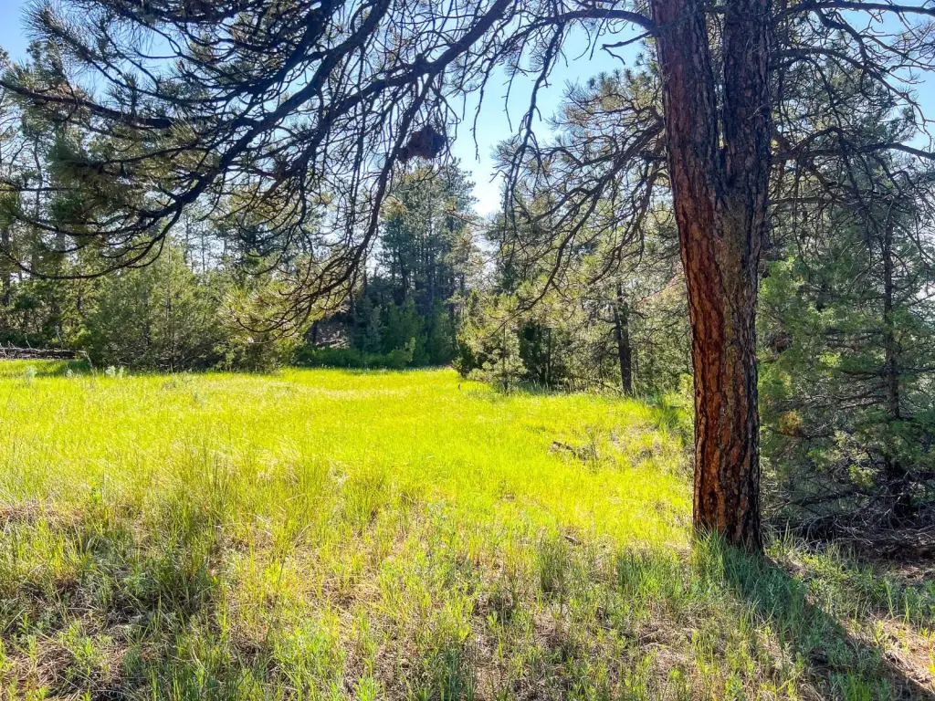 Picture 18