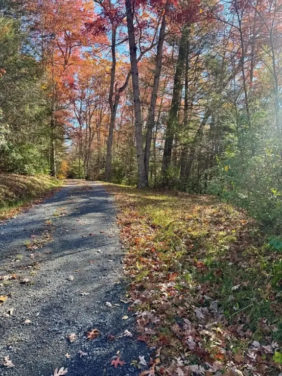 Picture 23