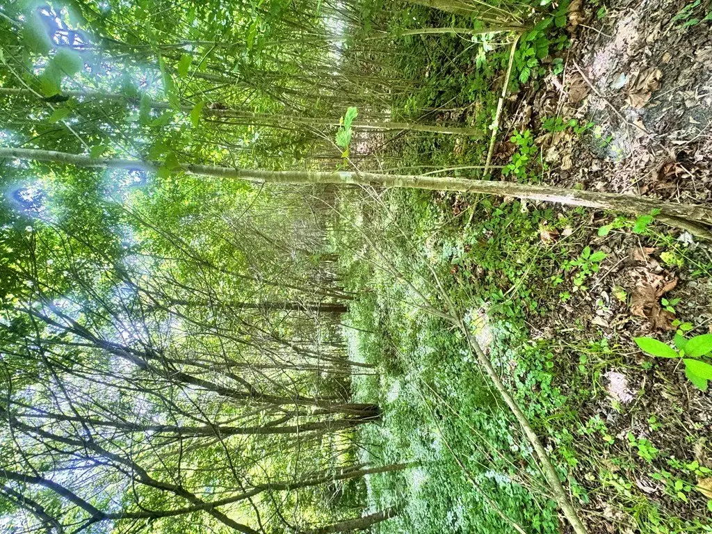 Picture 21