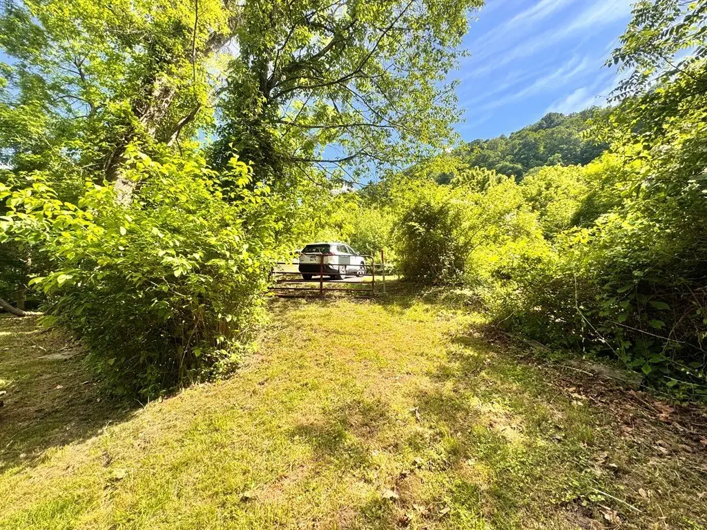 Picture 17