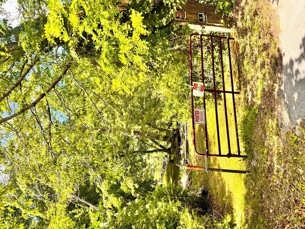 Picture 23