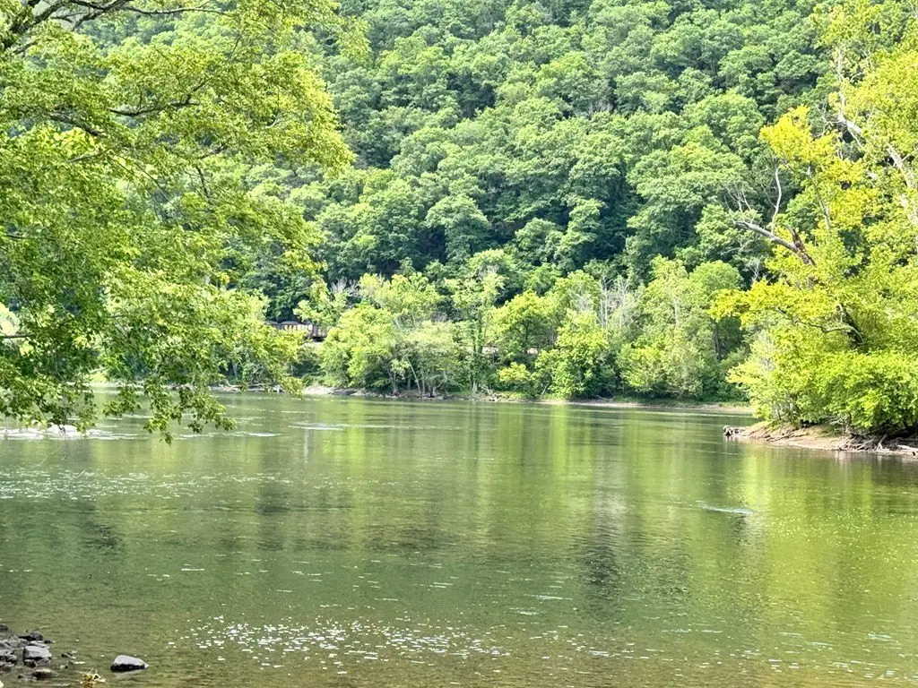Picture 10