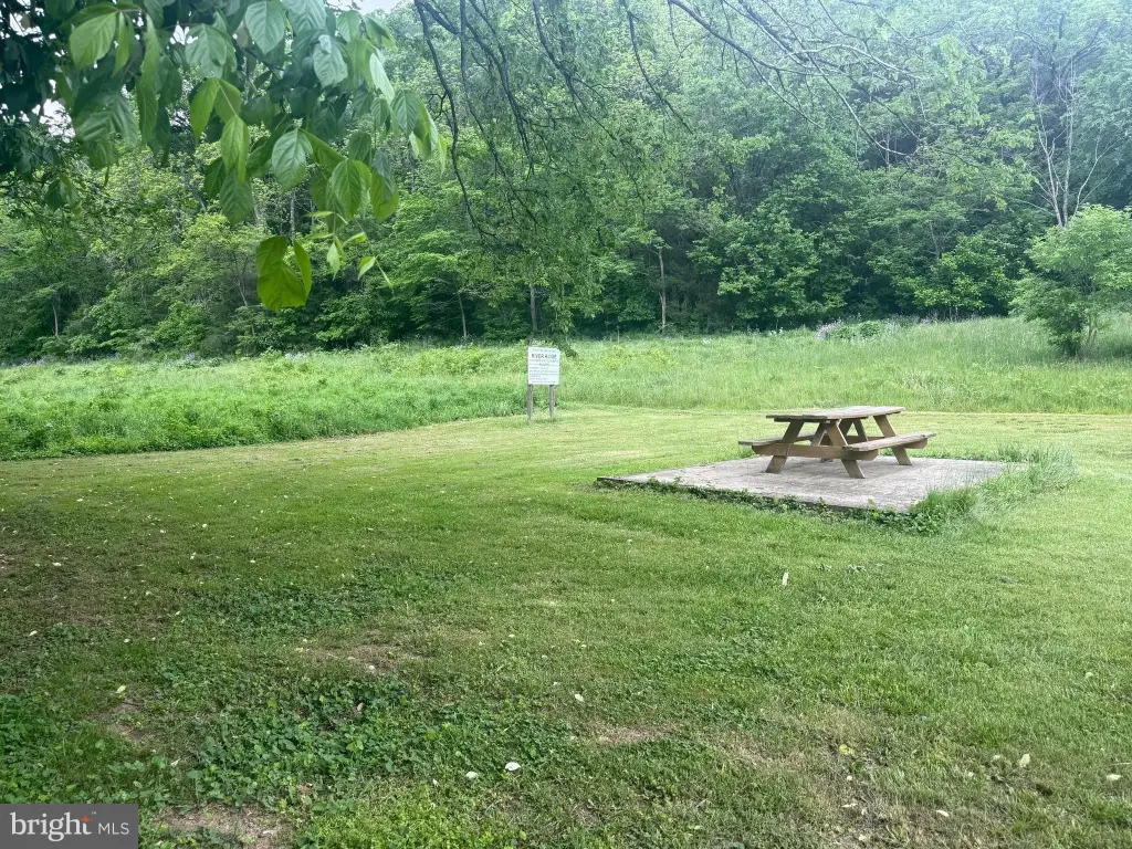 Picture 28