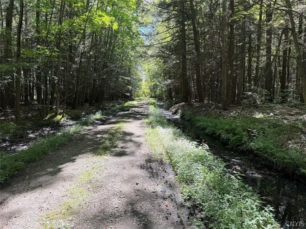Picture 25