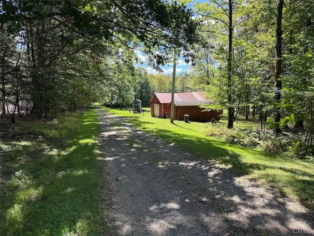 Picture 15