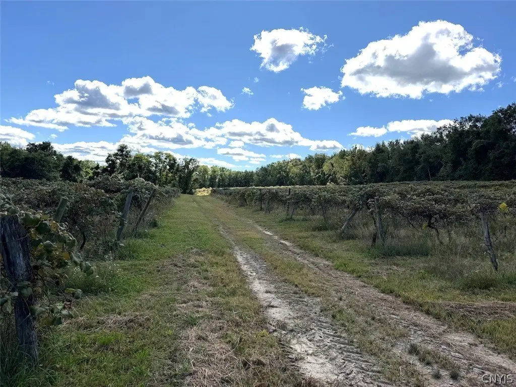 Picture 39
