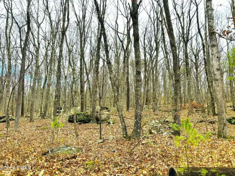 Land with Community Amenities