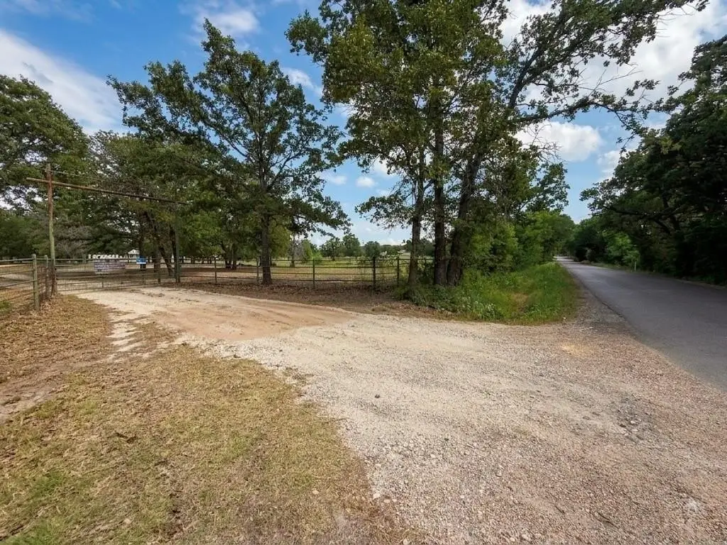 Picture 14
