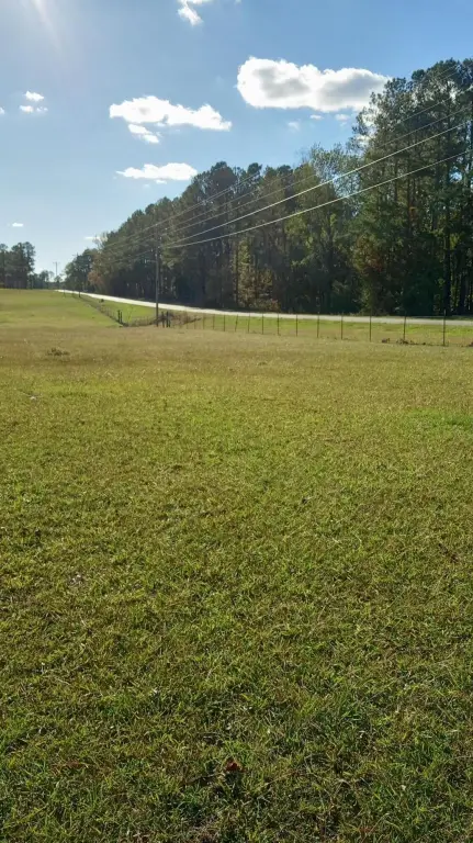 Picture 41