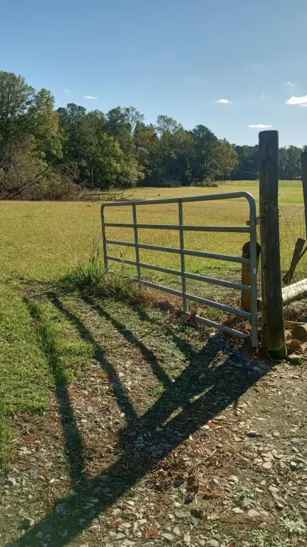 Picture 4