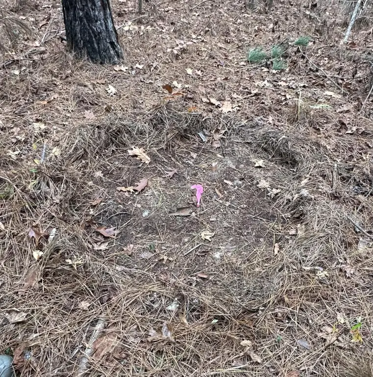 Picture 13