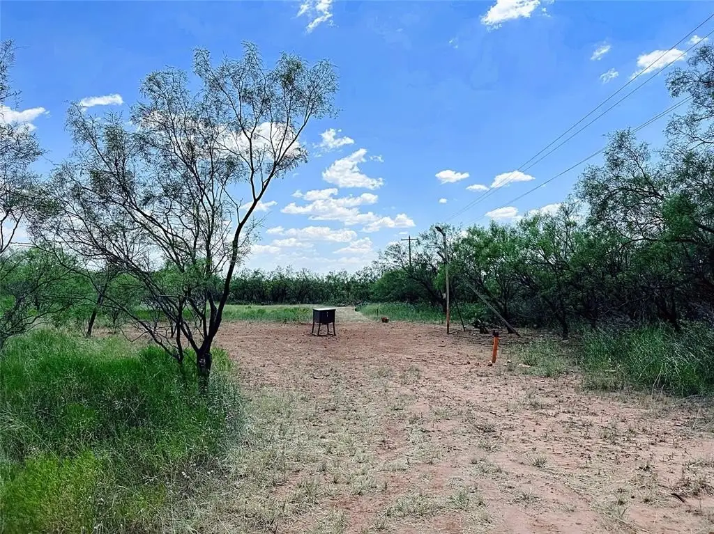 Picture 25