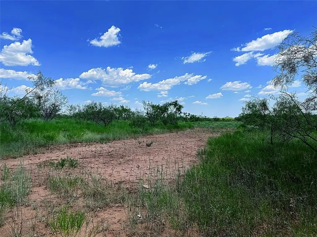 Picture 24