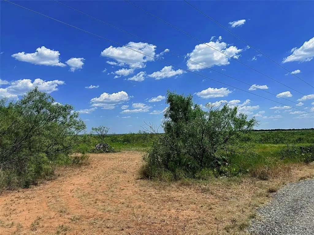 Picture 18