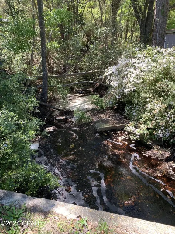 Picture 12