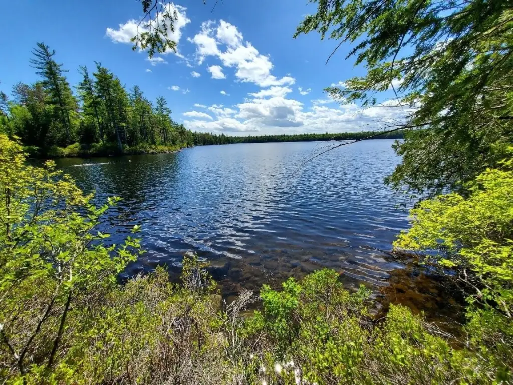 Picture 19