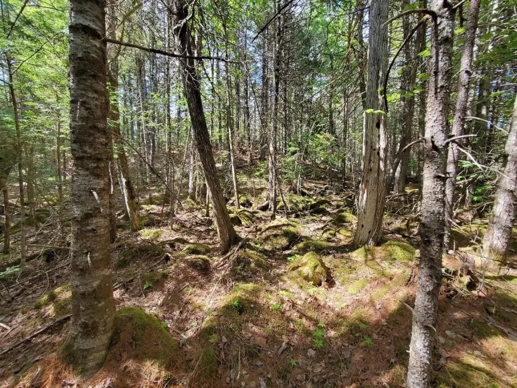 Picture 30
