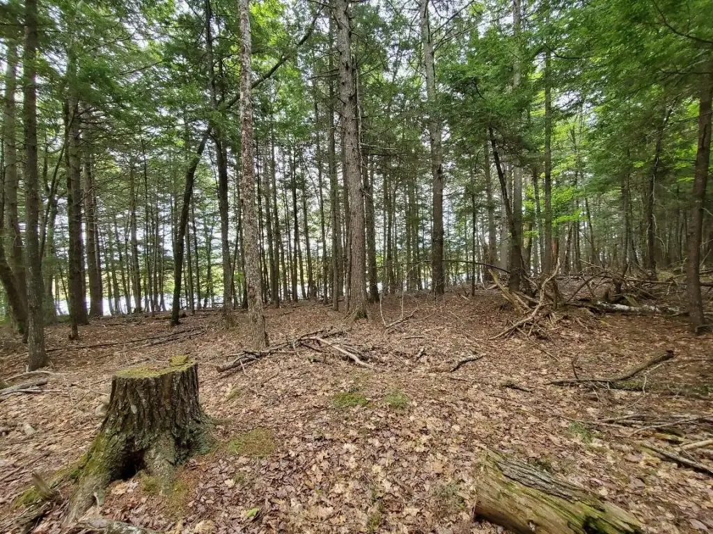 Picture 14