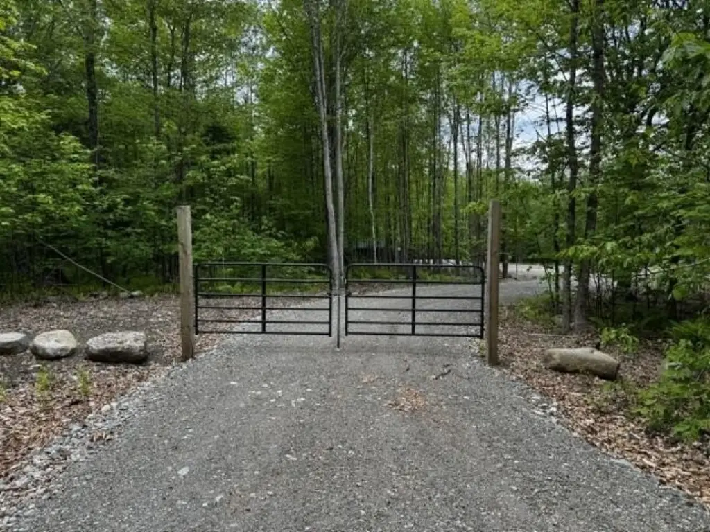 Picture 4