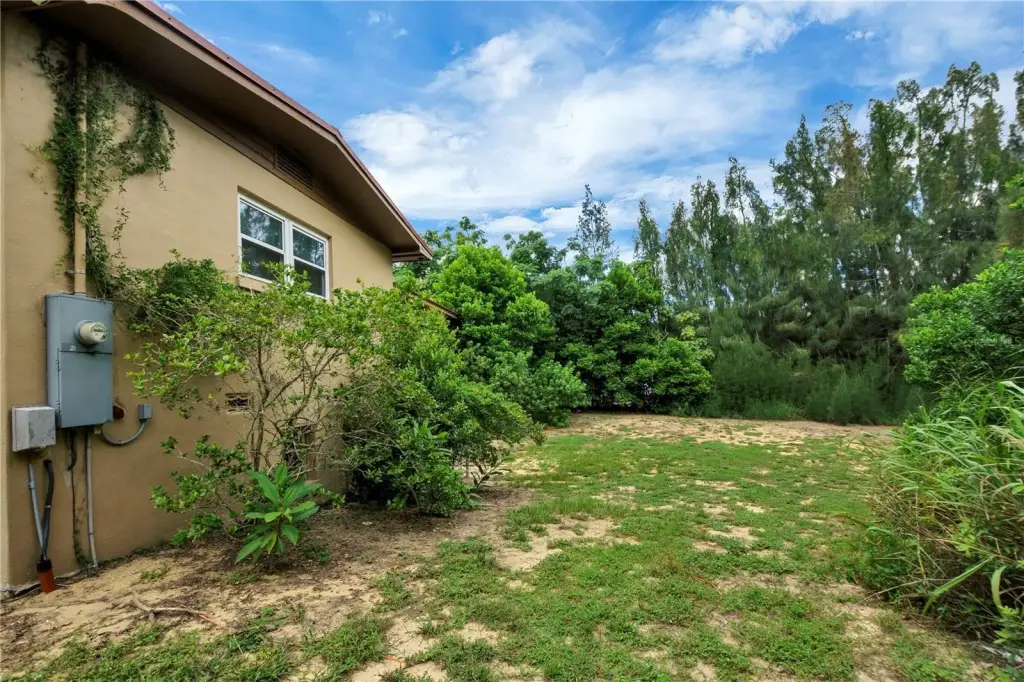 Picture 30