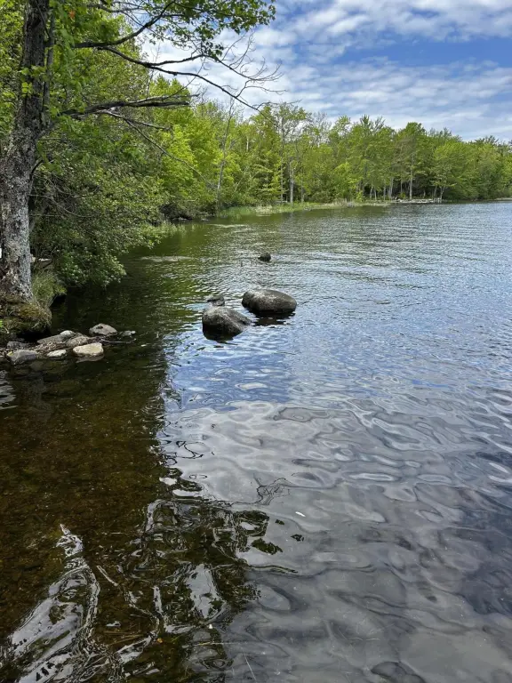 Picture 9