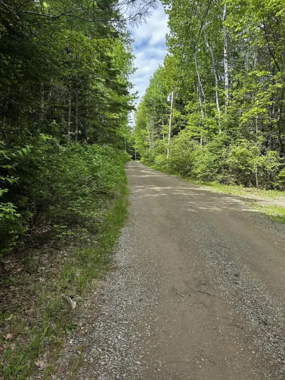 Picture 4