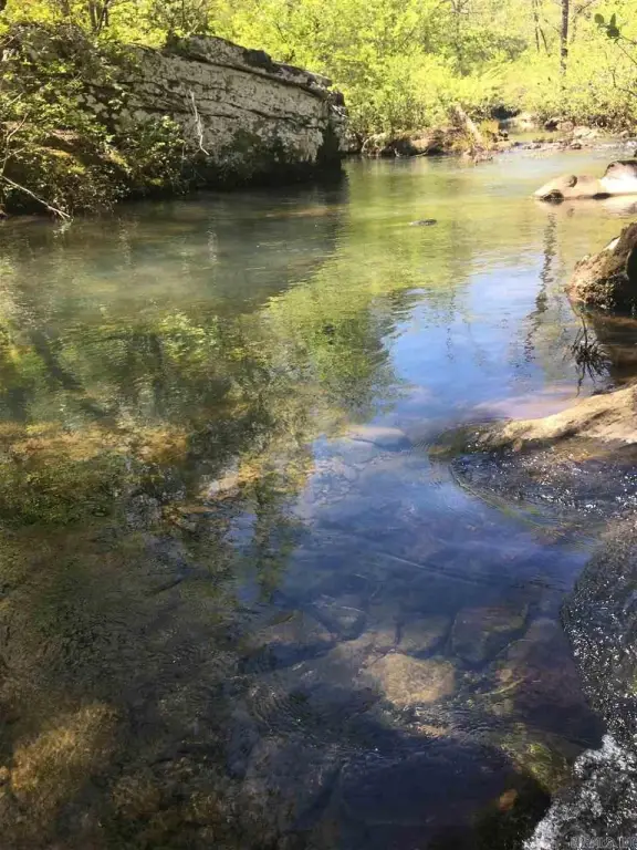 Picture 7