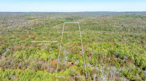Wooded Hunting Land with Creek