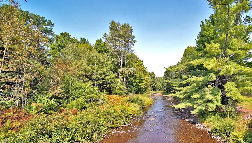 Picture 17