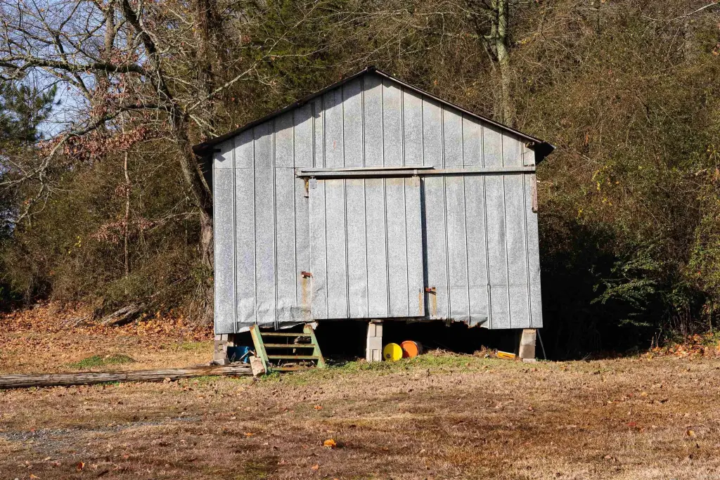 Picture 20