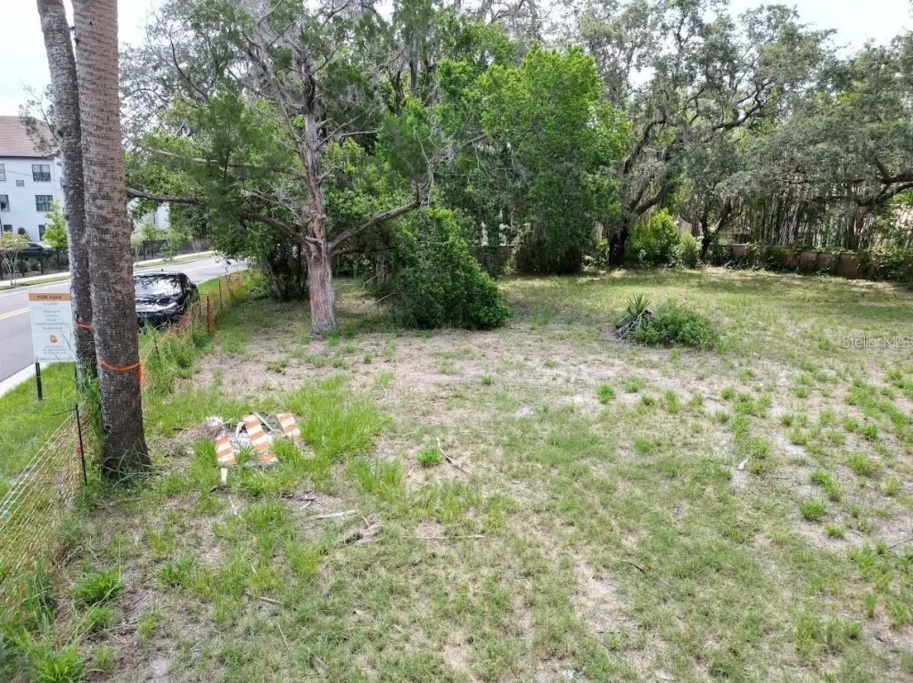 Picture 15