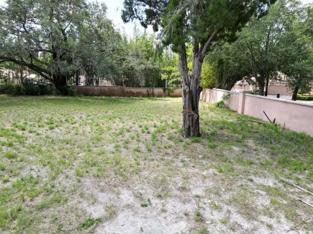 Picture 16