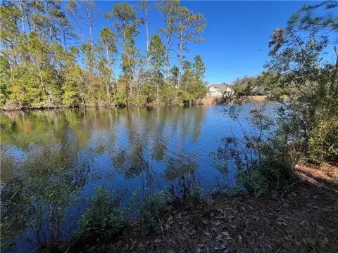 St Simons Island Lakefront Lot