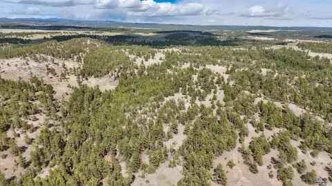 40 Acres Black Hills Freedom
