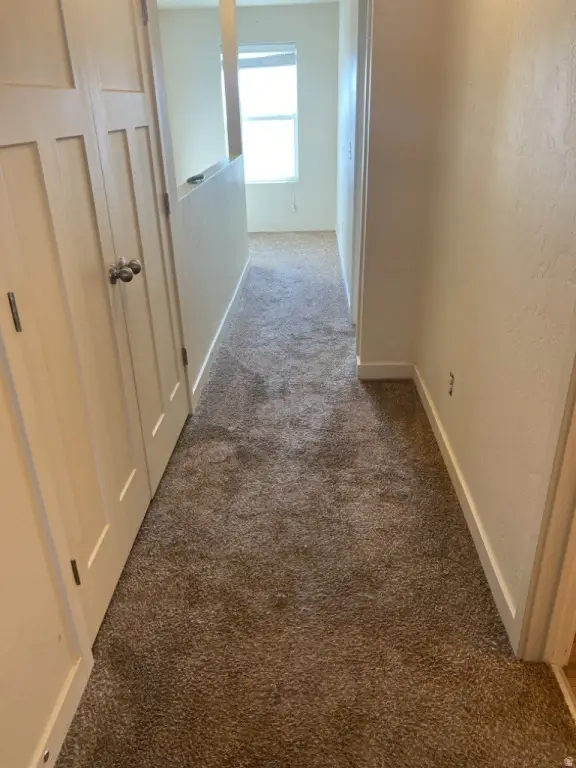 Picture 29