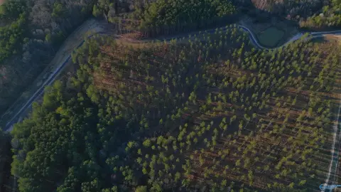 Secluded Homesite with Lake Access