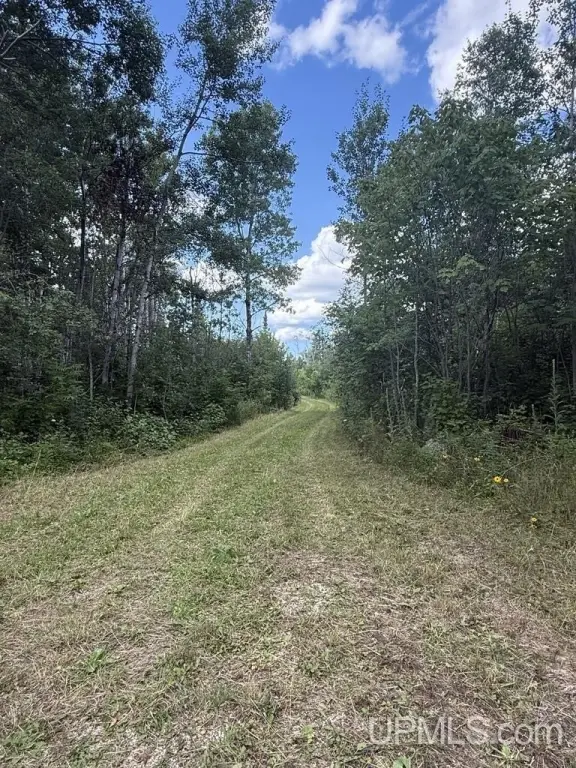 Picture 4