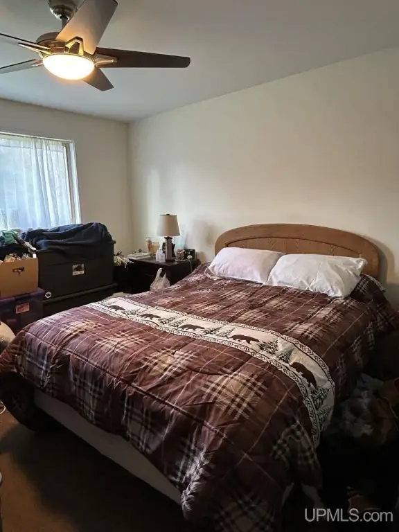 Picture 19